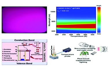 Cr3+ doped rigid garnet phosphors@PDMS composite platforms: Anti-thermal quenching and high sensitivity for multifunctional applications 2026.101036